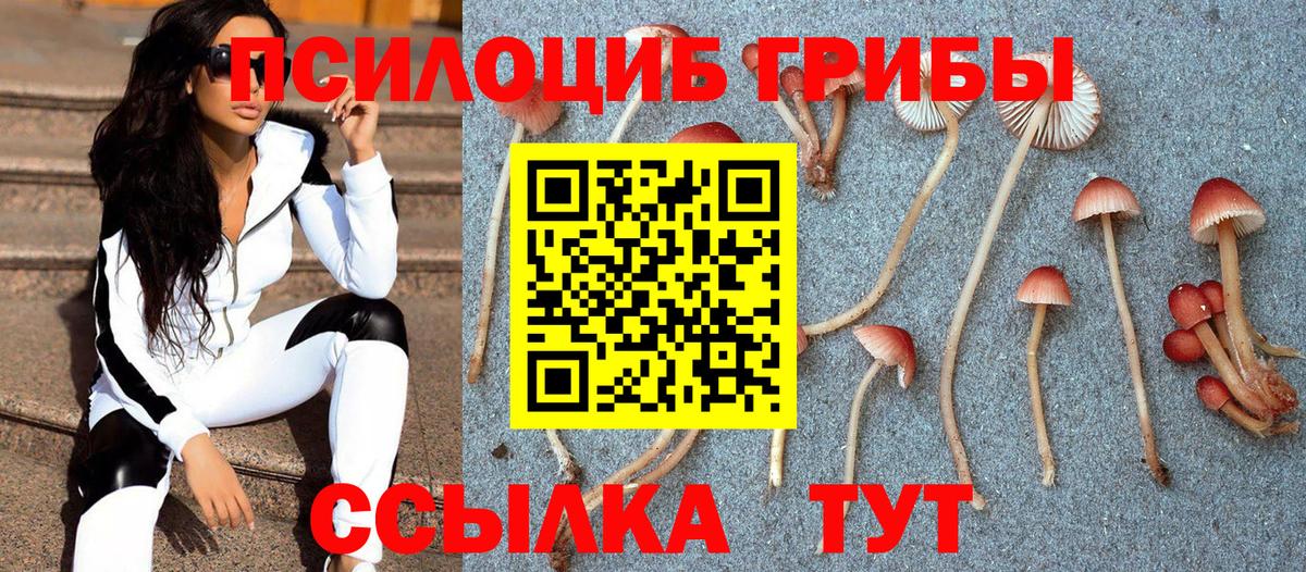 Псилоцибиновые грибы Magic Shrooms Алушта