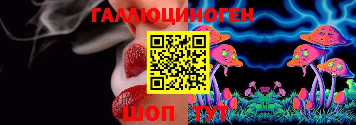 Псилоцибиновые грибы GOLDEN TEACHER  Вход с VPN  Галлюциногенные грибы Cubensis  Алушта 